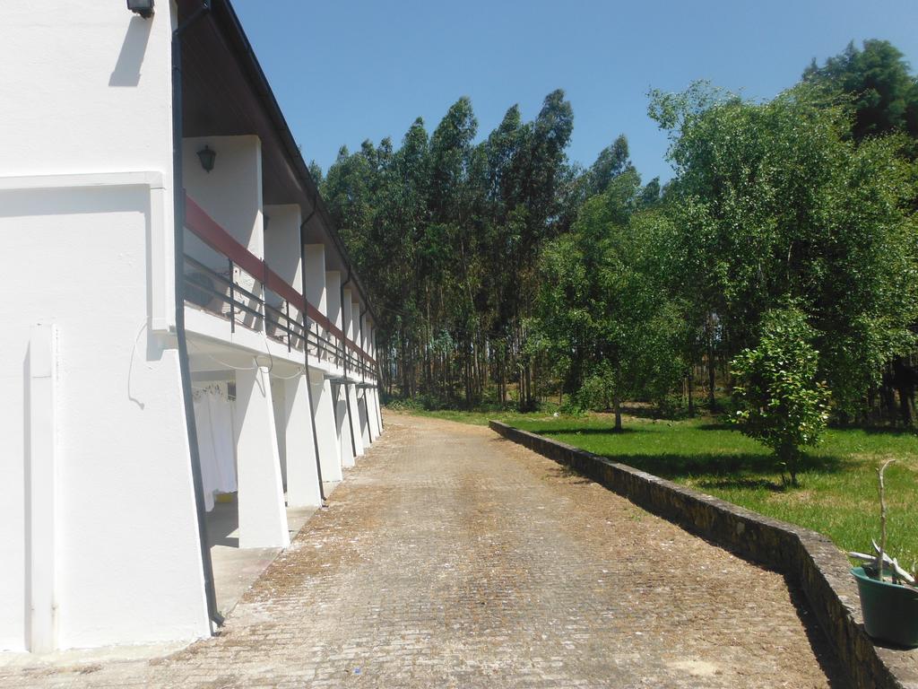 Hotel Alameda Albergaria-a-Velha Exteriér fotografie